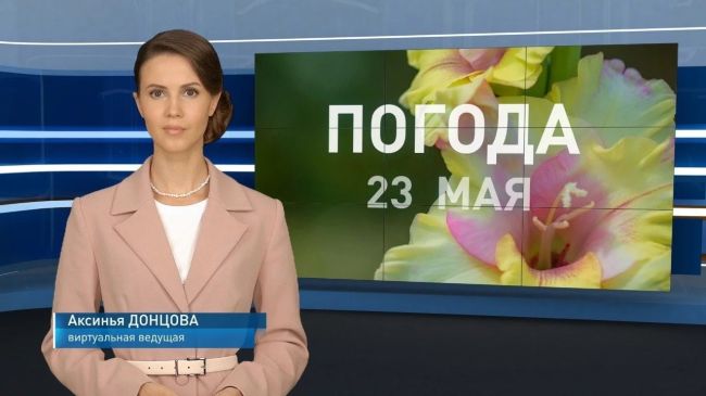 Будущее уже рядом! В Ростове прогноз погоды прочитала ведущая, которую сгенерировала нейросеть..