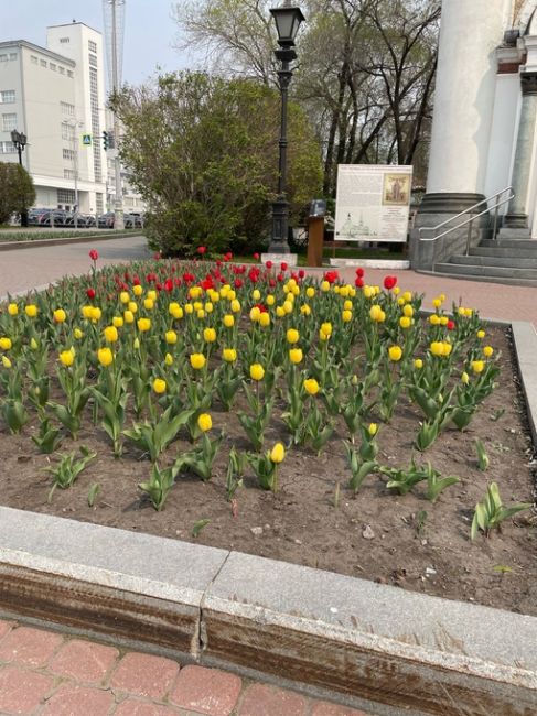 Чудесный майский вечер в столице Урала..