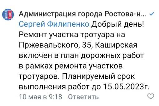 Летние ромашки Ростовской области..