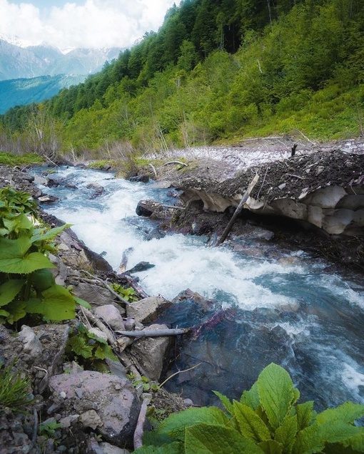 Прогулка по Красной Поляне 
Фото..