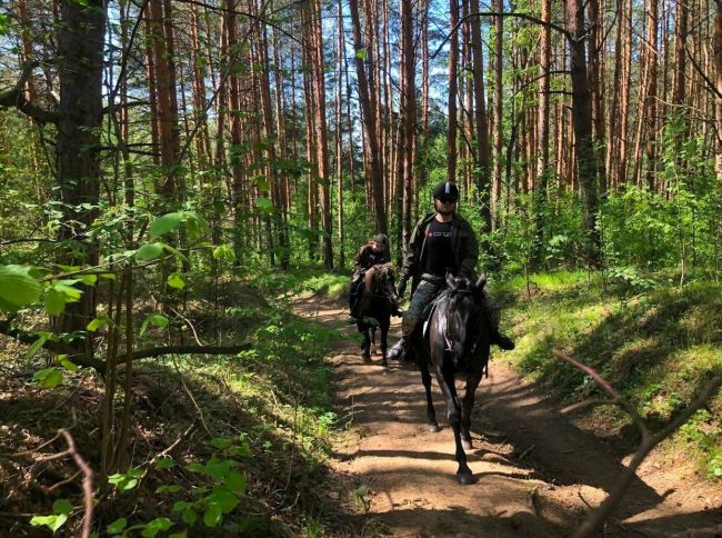 Приглашаем на конные прогулки  в клуб верховой езды "Есаул" 🏇 В этом году мы разработали несколько новых..