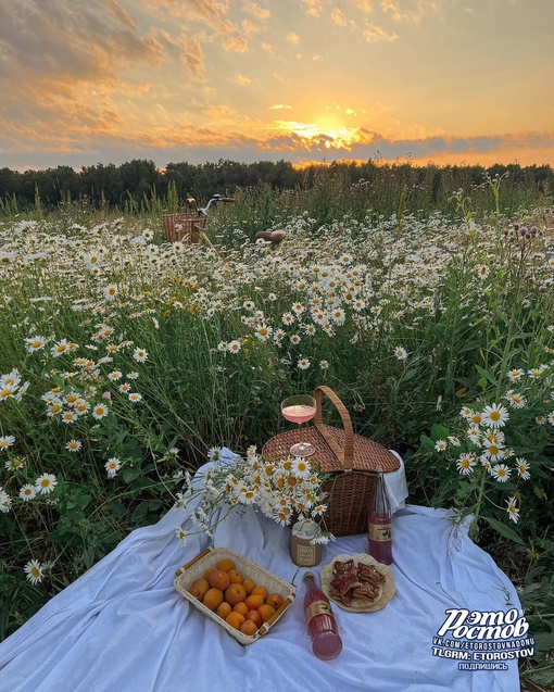 🌼 Свидание на природе по-ростовски..