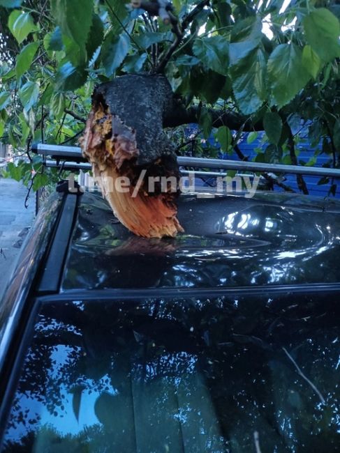 В центре города по адресу пер. Островского на автомобиль упала часть дерева длинной более 7м. Кому-то вновь не..