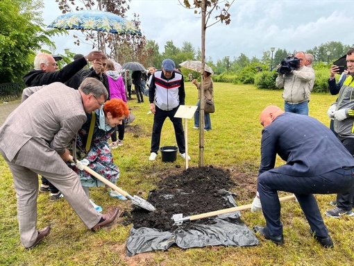 🌟 «Аллея звёзд» появилась в Кстово.  С 27 по 31 мая в Кстово проходил первый открытый кинофестиваль..