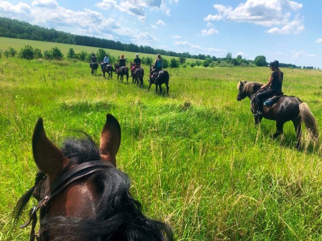 Приглашаем на конные прогулки  в клуб верховой езды "Есаул" 🏇 В этом году мы разработали несколько новых..