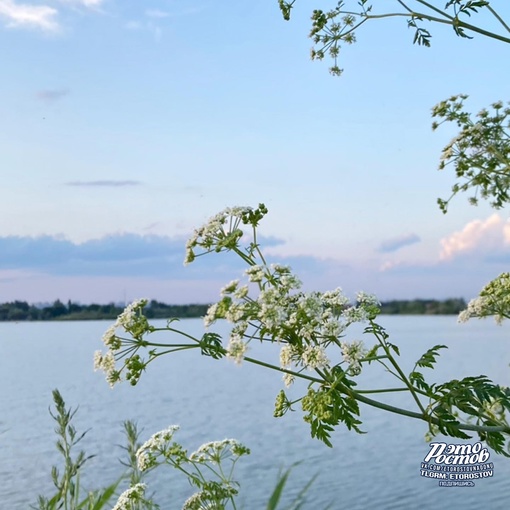 🍃 Летние пейзажи на..