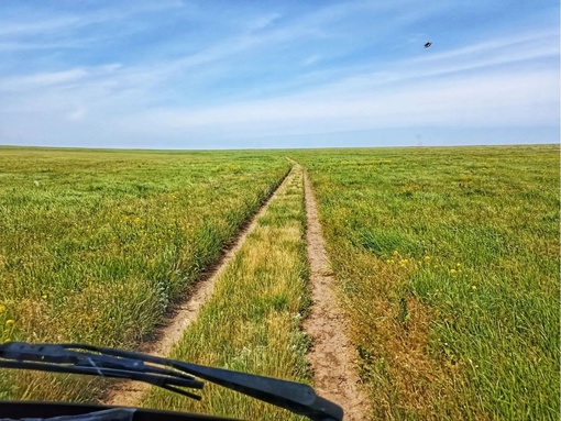 Летняя красота донских степей..