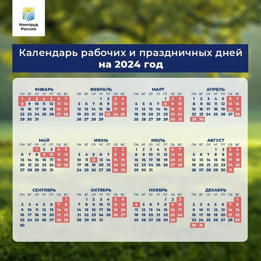 Стало известно, как будем отдыхать в 2024 году📅  Новогодние каникулы в следующем году продлятся с 1 по 8 января...