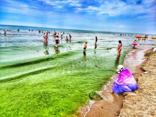 Холодное и цветущее море Анапы
📹..