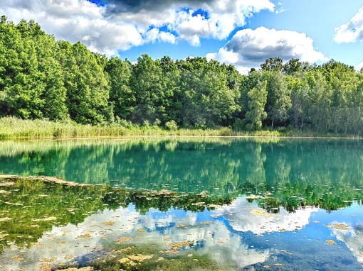 Реченька Лесная