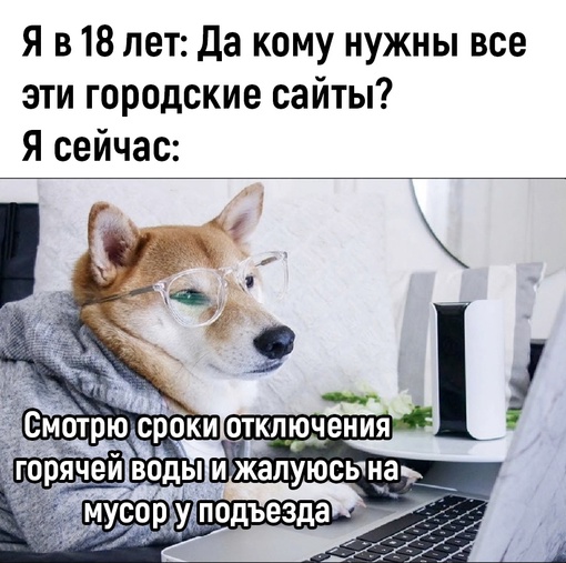 С 3 по 14 июля в Ростове отключат горячую воду в нескольких районах: Северный, Темерник, частично в районе..