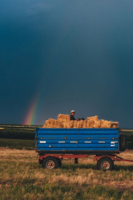 Синий трактор едет по полям на фоне радуги 🌈  Фото: Артём..