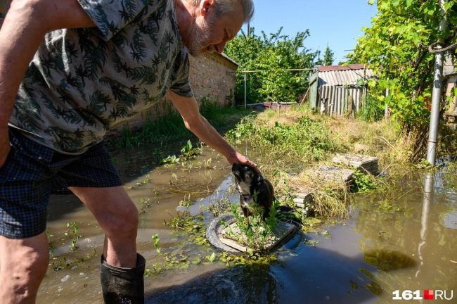 🌊 Около полусотни улиц на востоке Батайска оказались в воде. В одном из домов на улицу Гоголя сапоги..