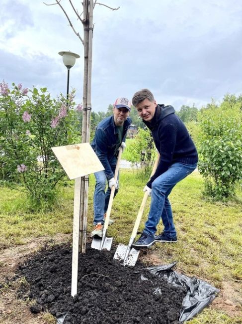 🌟 «Аллея звёзд» появилась в Кстово.  С 27 по 31 мая в Кстово проходил первый открытый кинофестиваль..