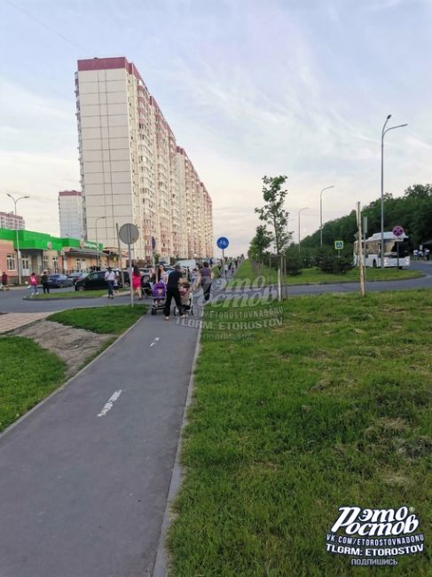 🚲 «Велодорожки на Суворовском прекрасны! Посмотрите, сколько людей!», - удивляется подписчик паблика "Это..