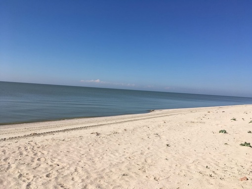 🏖 Беглицкая коса — место для любителей дикого, спокойного отдыха на природе рядом с морем. Людям, которые..