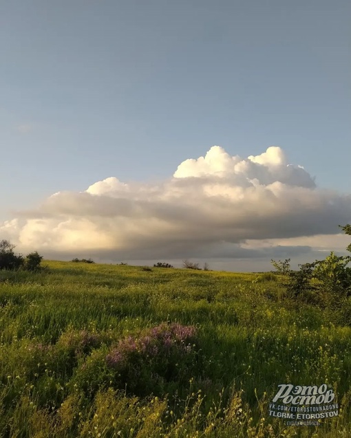 🌾Донская..