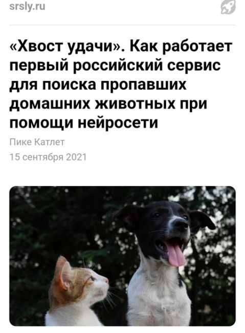 🐕 В России появится нейросеть для поиска домашних животных. Об этом сообщает ТАСС со ссылкой на..