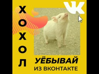 Кадры от подписчика, снятые в 6 утра.  Главное о происходящей ситуации — [https://vk.com/wall-36039_9681250|в этом..