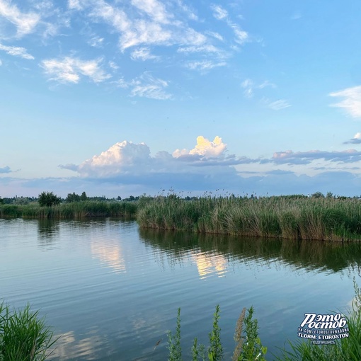 🍃 Летние пейзажи на..