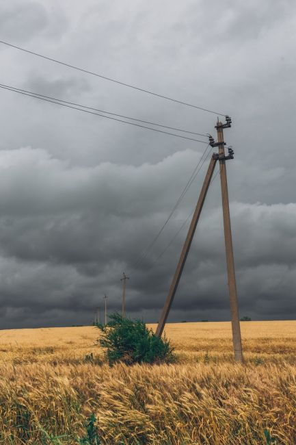 🌾 Золотистые поля Ростовской области перед грозой 🌩  Фото: Артём..