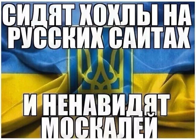 ФК «Ростов» призвал ЧВК «Вагнер» не проливать кровь.  «Ребята, Вагнера, не надо крови! Мы все один народ и..