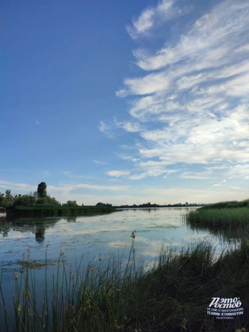 🌿☀ Хутор Колузаево. Расположен на правом берегу реки Дон, напротив впадения в неё реки Койсуг, возле села..