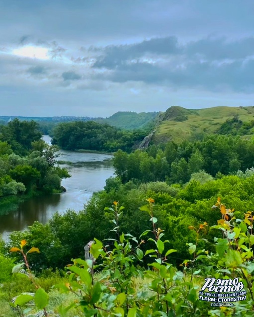 🌳 Великолепный пейзаж в Белой..