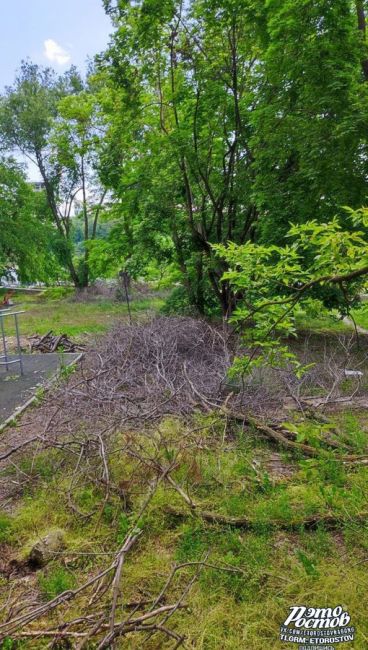 🤔🌳 Уже месяц в парке Дружба на Северном остановлен ремонт. Всё брошено, развалено, кабели срезаны и..