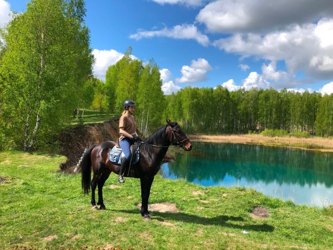 Приглашаем на конные прогулки  в клуб верховой езды "Есаул" 🏇 В этом году мы разработали несколько новых..