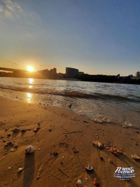 🐚 Ракушки на песках Левого берега Дона..