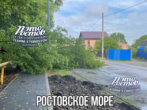 Последствия ночной грозы в Ростове ⚡ Попадали деревья, размыло асфальт.  ⚡Если Вы стали свидетелями..