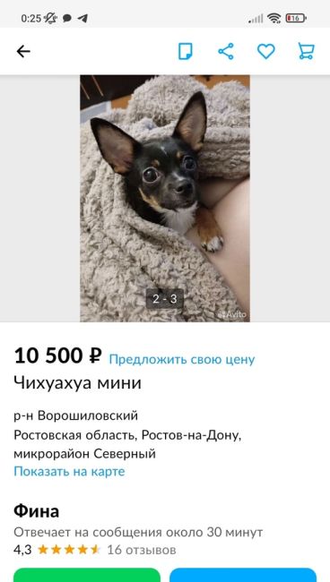 Ростовчанка бесплатно приютила дворняжку в «добрые руки», а потом увидела в Интернете объявление о ее..