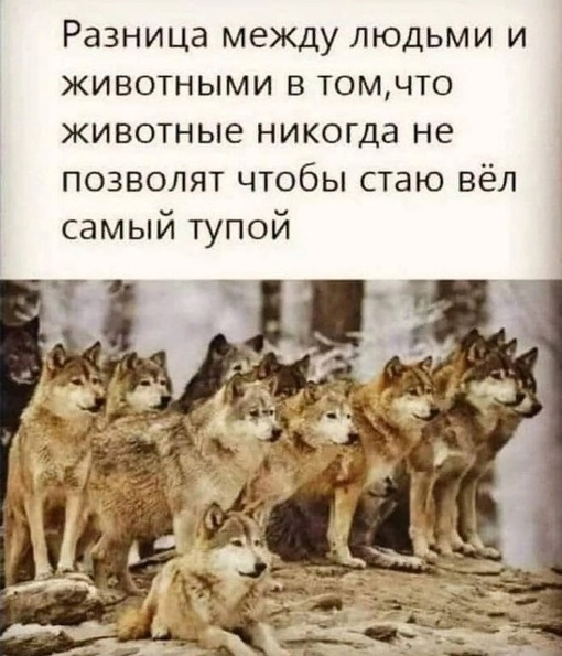 👊 🤬 Мужика с украинским флагом и надписью «Путин х****» избили в сочинском клубе. Провокатор пытался..