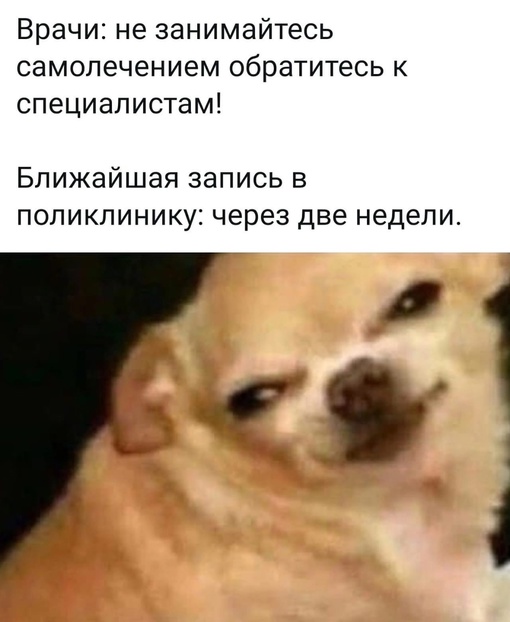 🗣️Тем..