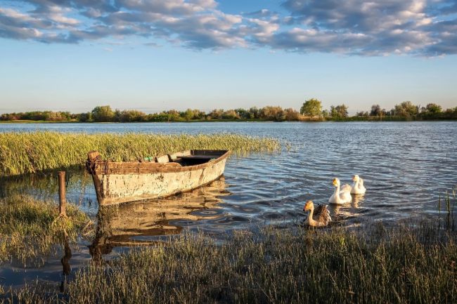 Лето в Таганроге и его окрестностях..