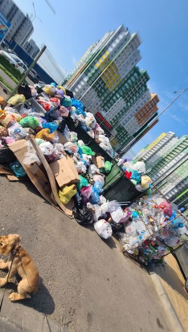 Всё плохо в Левенцовке. Наши подписчики сообщают, что там назревает мусорный коллапс.  «Левенцовка тонет в..