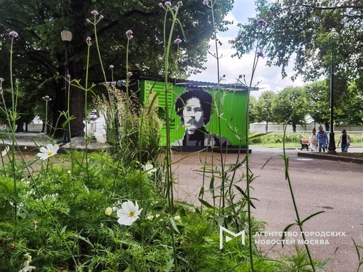 🎨 Пиксельный мурал с портретом писателя Максима Горького на территории Парка..