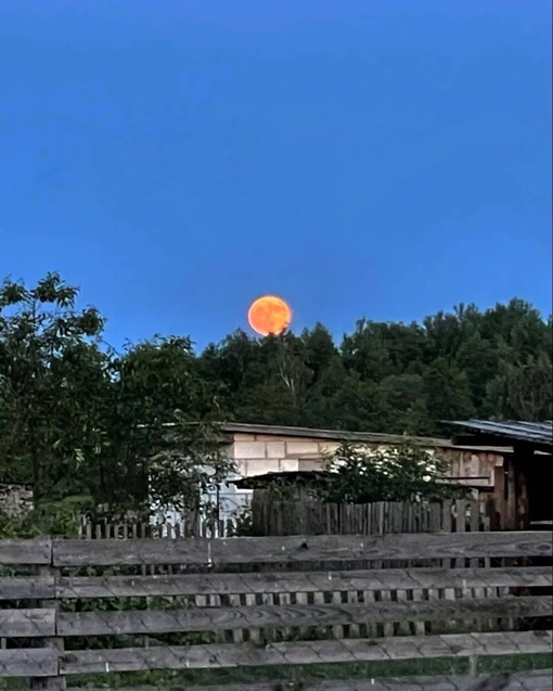 Клубничное полнолуние над городом😍
..