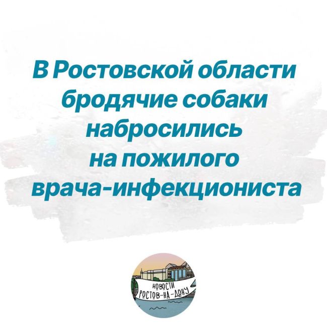 В Ростовской области бродячие собаки набросились на пожилого врача-инфекциониста  Инцидент произошел 5 июля..