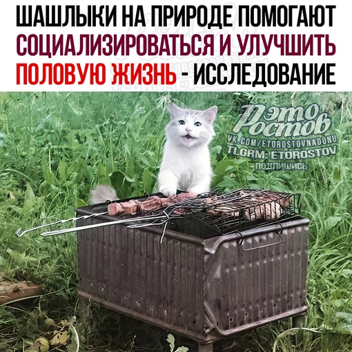 🥩 Шашлыки на природе помогают социализироваться и улучшить половую жизнь - исследование 
Объяснили это..