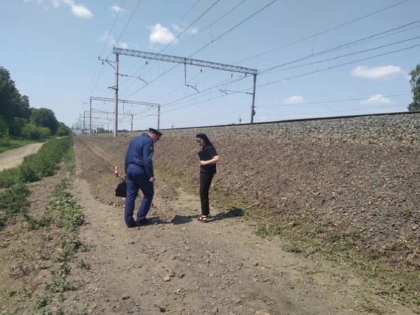 Под Новосибирском девятиклассник на мопеде погиб, вылетев с дороги  Трагедия произошла 17 июня. Подросток..