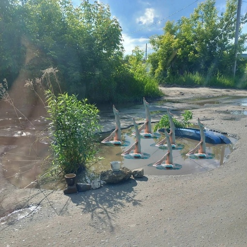 🗣️ Кажется, власти Заволжья фотожабы местных жителей не оценили, но результат есть — лужу засыпали(..