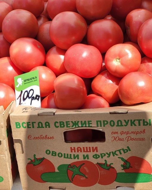 Обзор цен продукцию кубанских фермеров-перекупщиков на ярмарке выходного дня по ул. Петра..