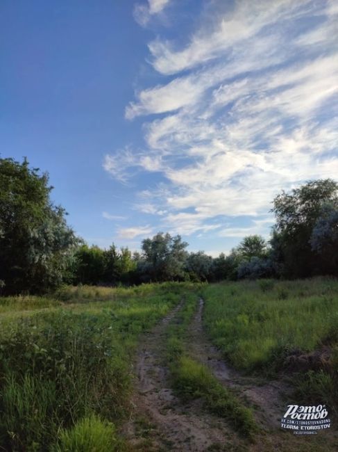 🌿☀ Хутор Колузаево. Расположен на правом берегу реки Дон, напротив впадения в неё реки Койсуг, возле села..