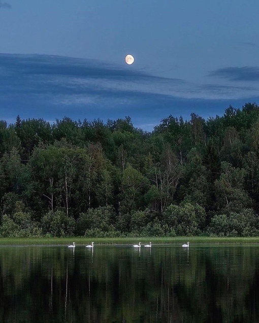 Доброе утро, Ростов 🙌  (с)фото Мила Антипина
..