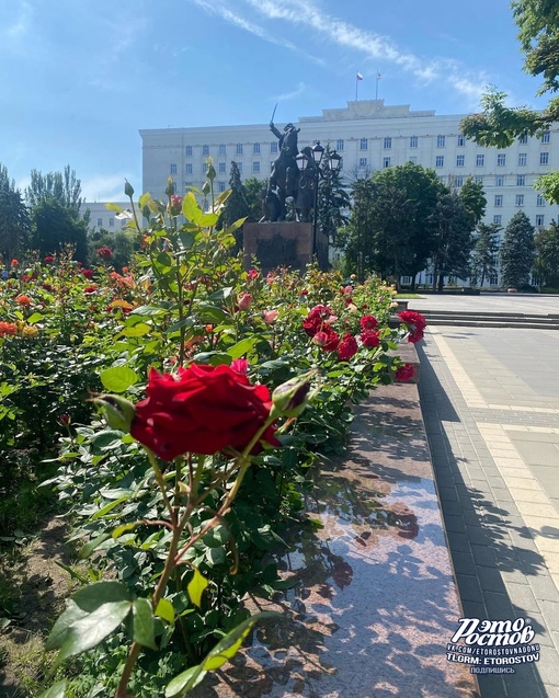 Папа-Ростов..