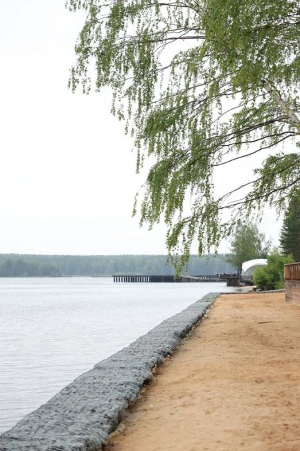 Пасмурное утро на Гореморе🌳🌊
..