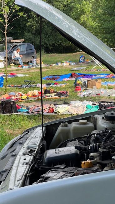 На поляне ЮФУ образовалась большая барахолка. Торгуют всем, чем..