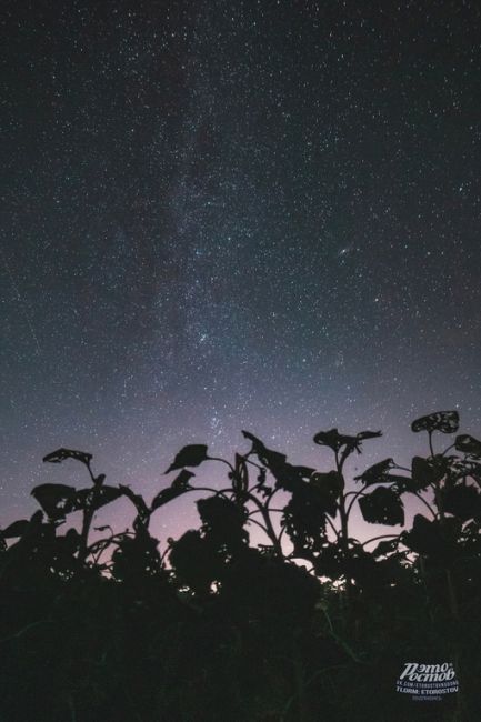 Юпитер и Млечный Путь над Таганрогским заливом 💫  Фото: Артём..